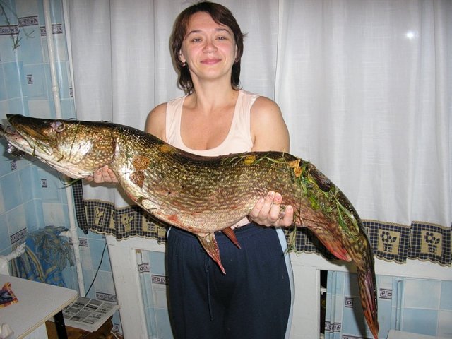 5girls fishing.